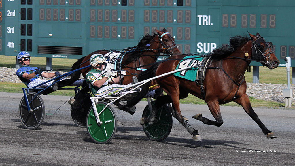 Hillexotic Sells For Six Figures