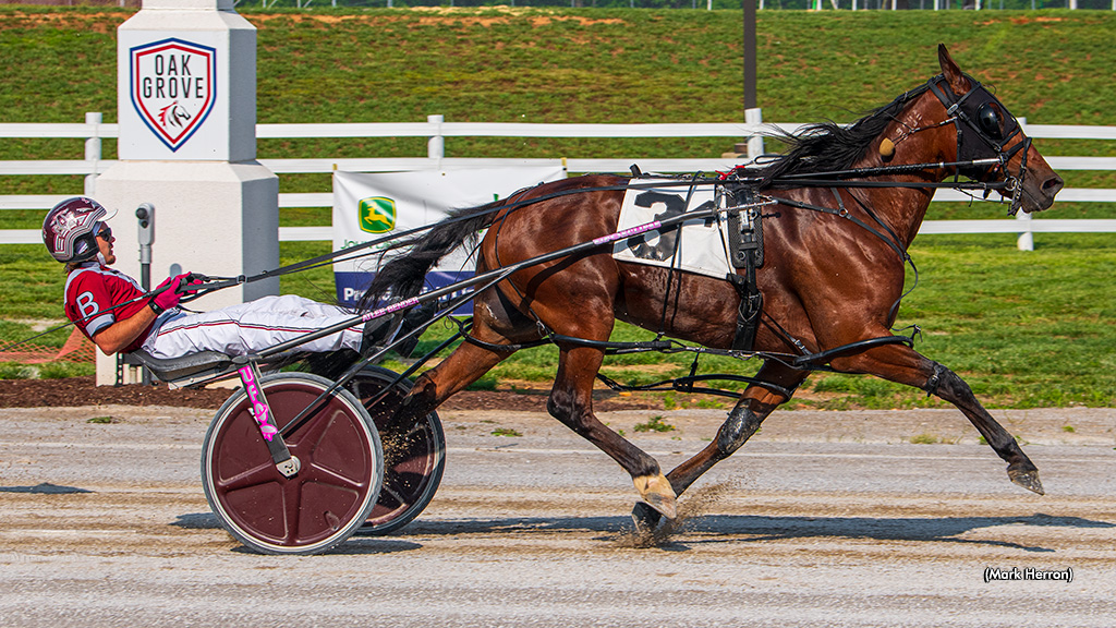 Im Sir Blake Strong In Oak Grove Open Pace