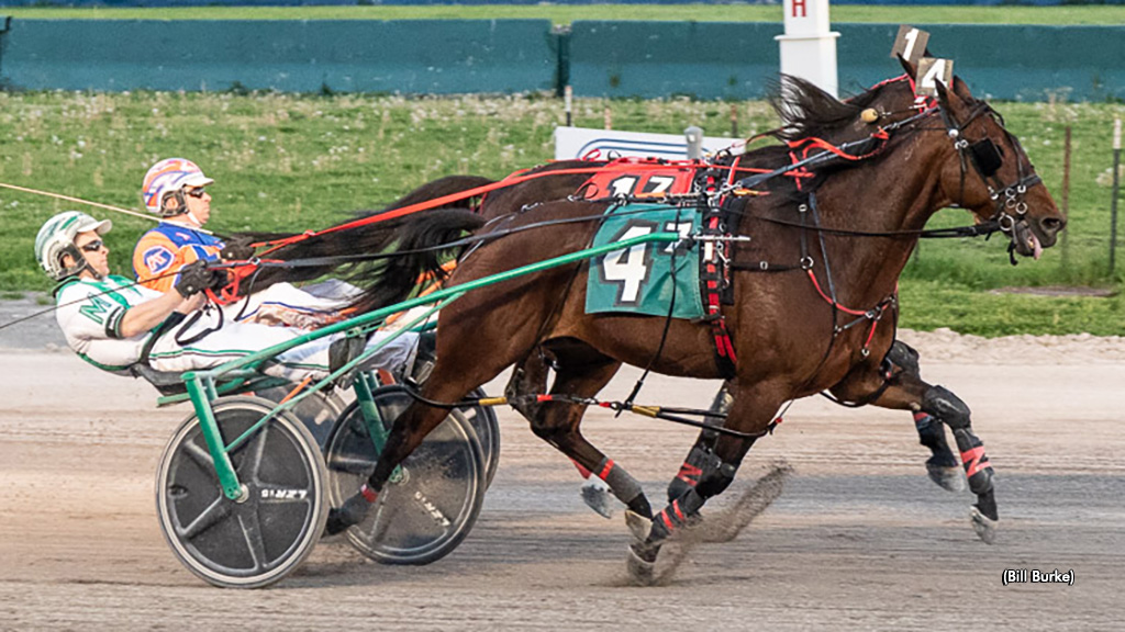 Just Plain Loco Straight And Strong