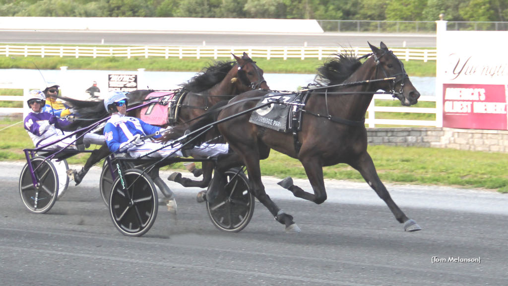 Khaosan Road Sets Record In Bunker Hill Trot