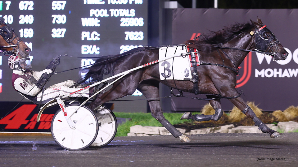 Logan Park Set To Face Off In Spirit Of Massachusetts Trot