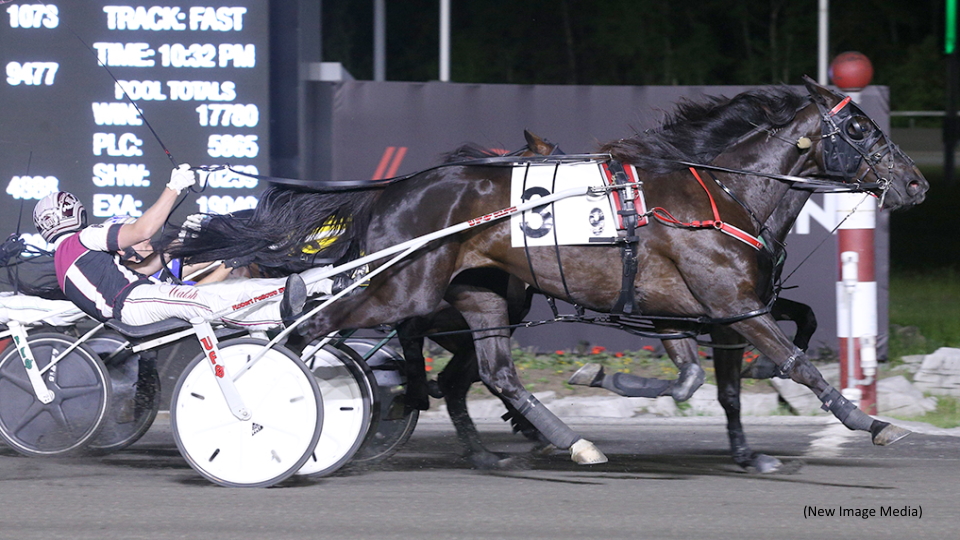 Logan Park By A Lip In Preferred Trot