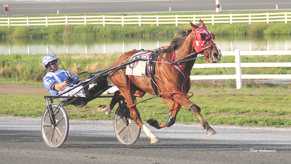 Lous Sweetrevenge Goes Lifetime Best At Plainridge