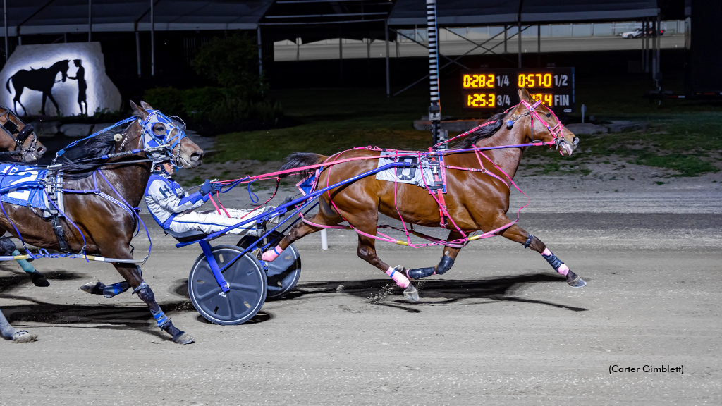 Major League N Wires Flamboro Distaff Preferred
