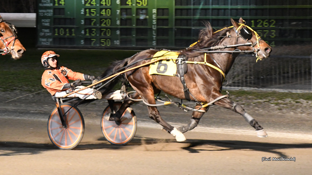 Matticulous GB Best In Charlottetown