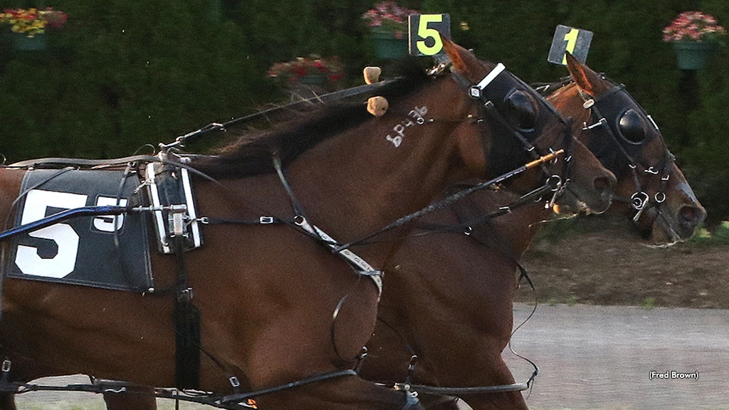 Miley Rose Wins Tioga Open