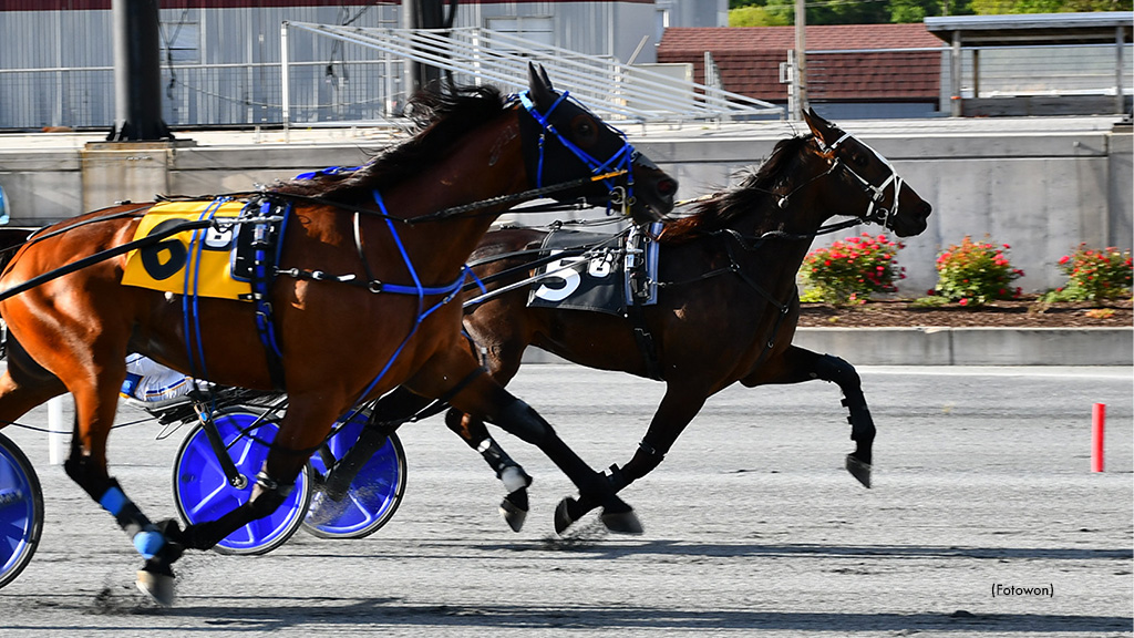 Northern Express Headlines Harrington Wednesday