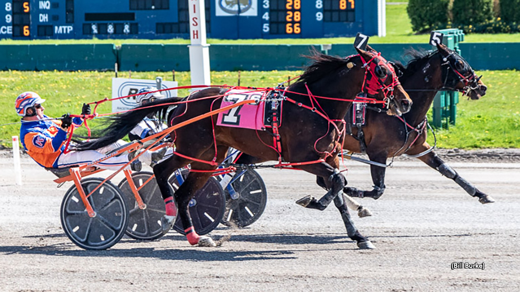 Out On Bail Lands In Buffalo Open