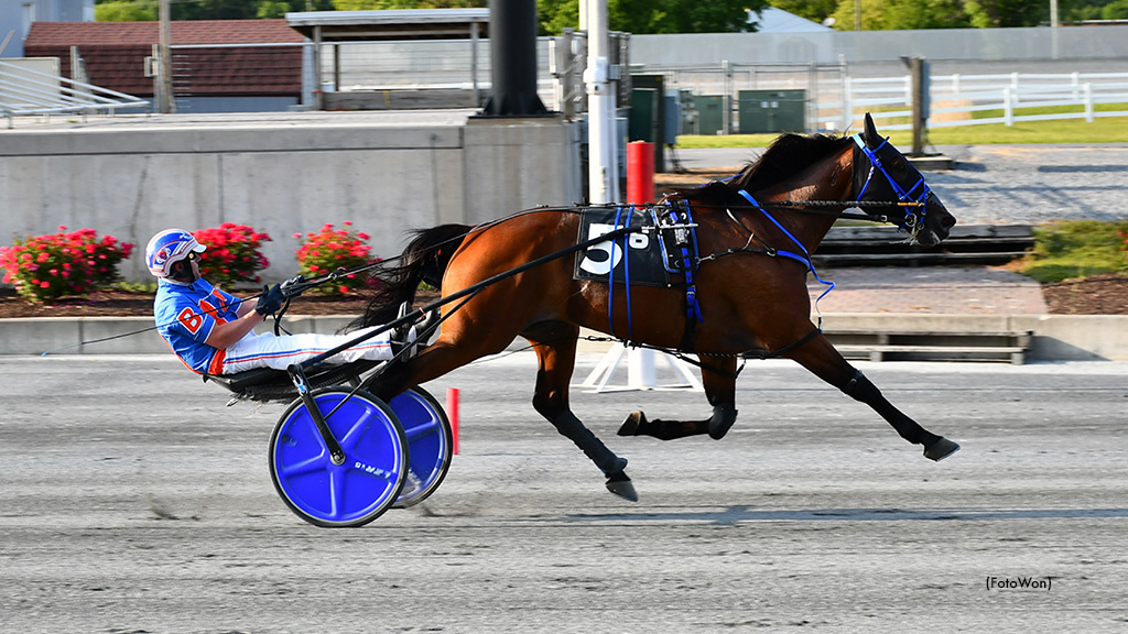 Remarkable De Vie Tops Harrington Trot, Davis Stays Hot