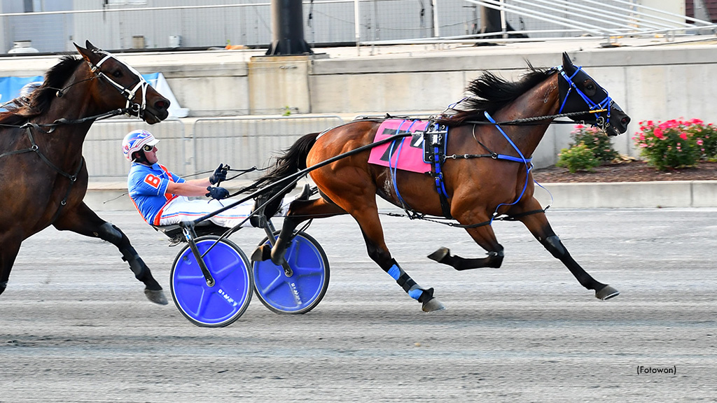 Remarkable De Vie Continues Harrington Success