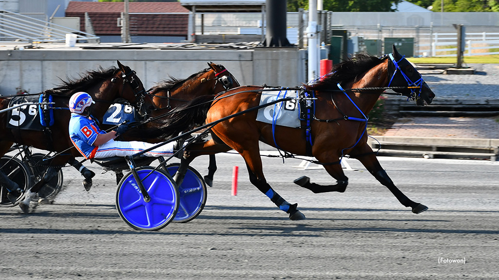 Remarkable De Vie Wins Third Straight At Harrington