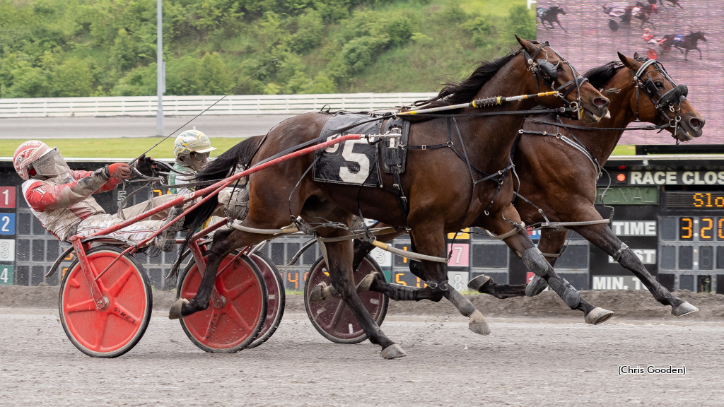 Risenshine Seaside Repeats In Meadows Open