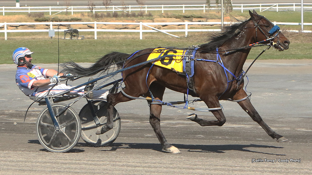 Shark Week Repeats In Century Preferred