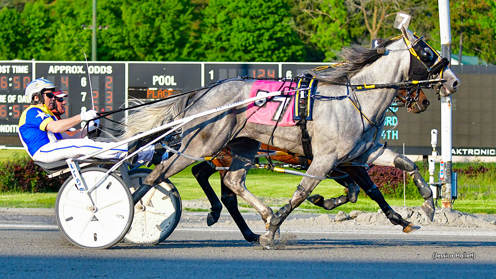St Lads Sterling Steals Saratoga Show