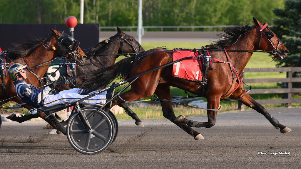 Sylvia Hanover Dynamite On Return