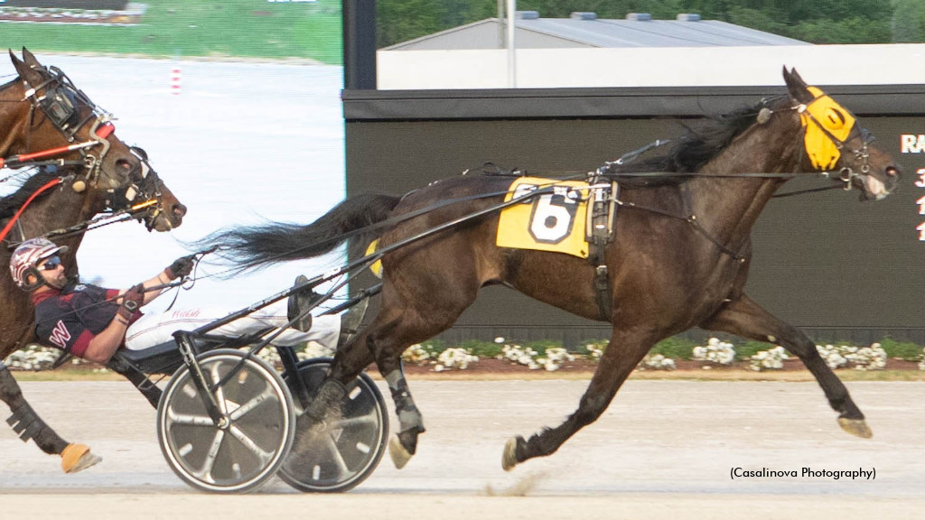 Tequila Talkin Trots To World Record Sunday