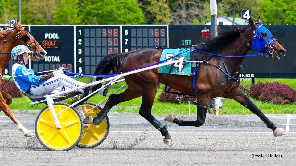 Trump De Vie Is On A Serious Roll