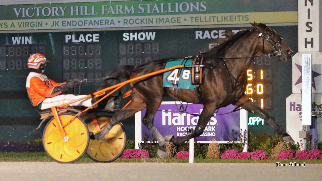 Venerate Set To Step Out For Melander