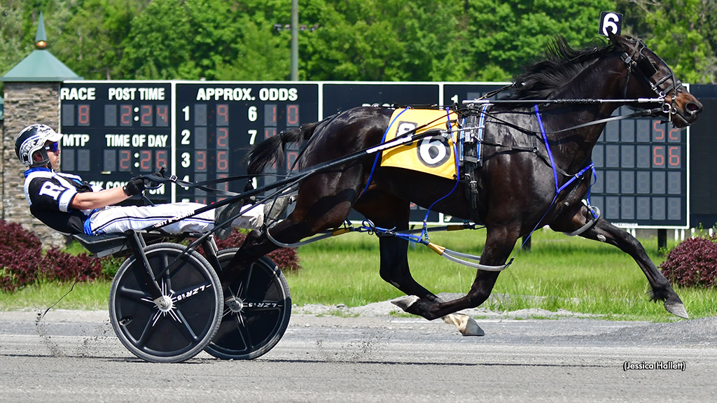 Vibrance Victorious In Virginia O'Brien Memorial