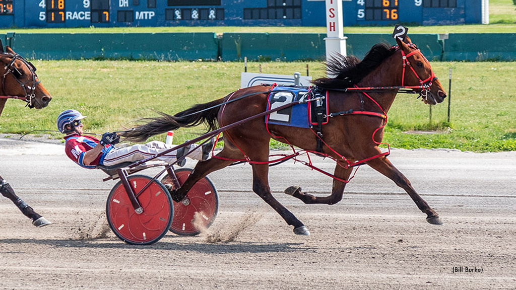 Vivians Dream Coasts In NYSS At Buffalo Raceway