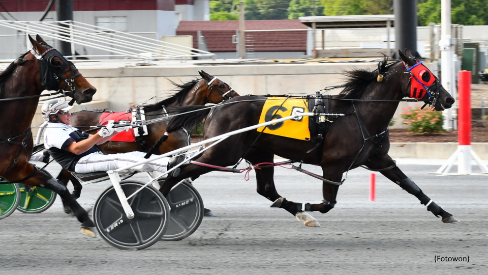 Harrington Open Goes To Wager On Me