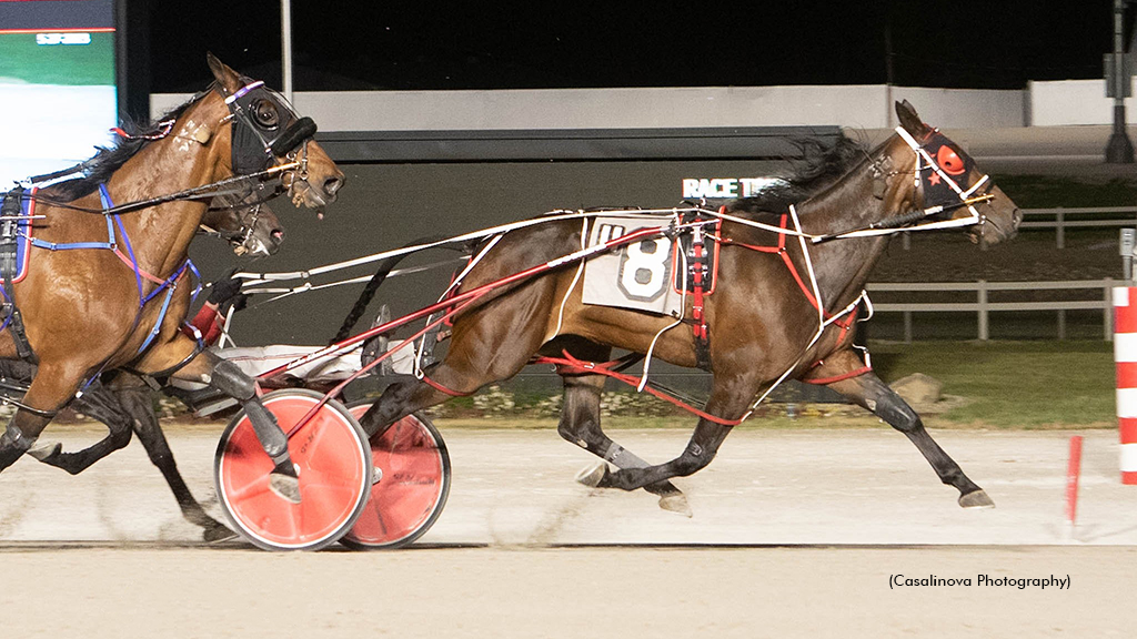 Repeat Winners In Buckeye Stallion Series