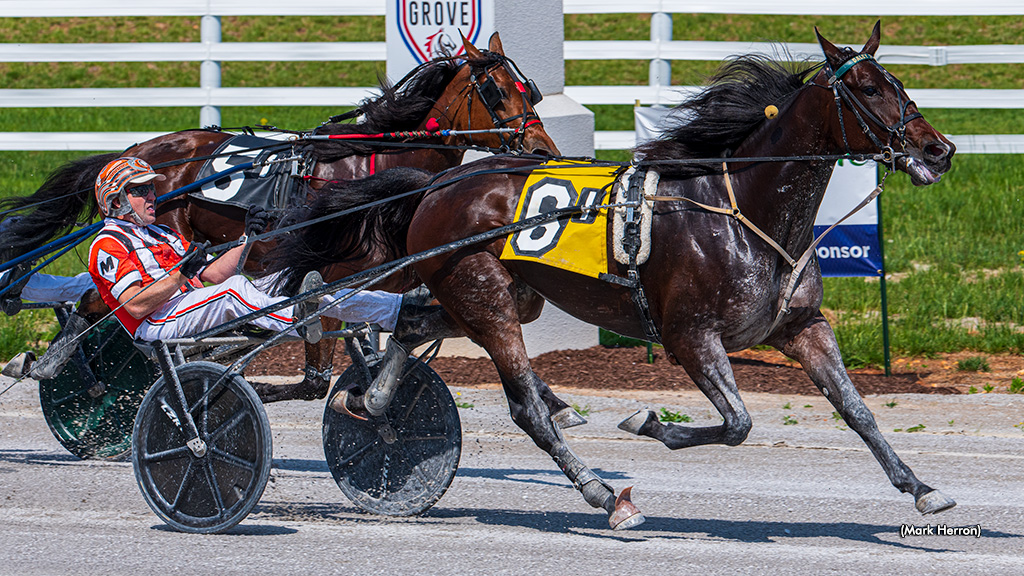 Yanaba Trots To Track Record In Kentucky Sires Stakes