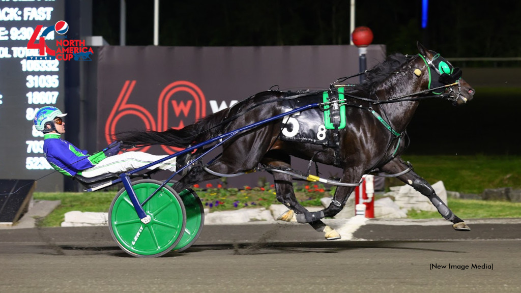 Abuckabett Hanover Wins Mohawk Gold Cup