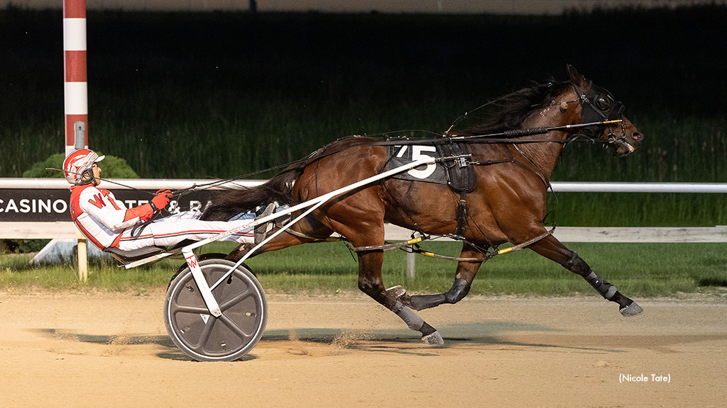 American Dreamer Added To Aces Record Books