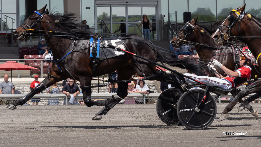 Owners Enjoying Genuine Fun With Bamboozler Owners Enjoying Genuine Fun With Bamboozler