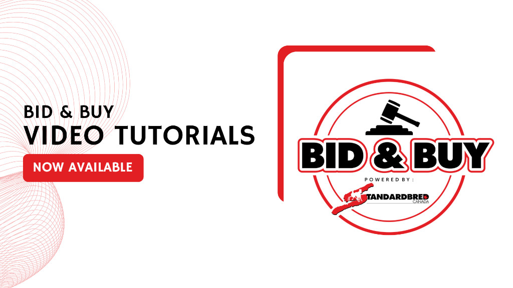 Bid & Buy Video Tutorials Now Available