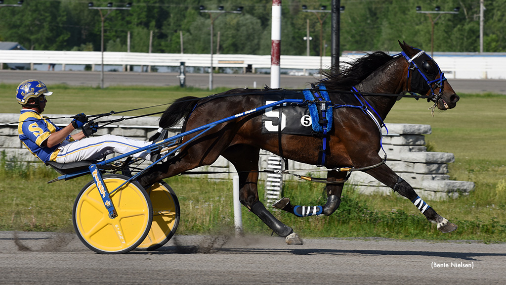 Black Tie Bash Repeats In Rideau Preferred