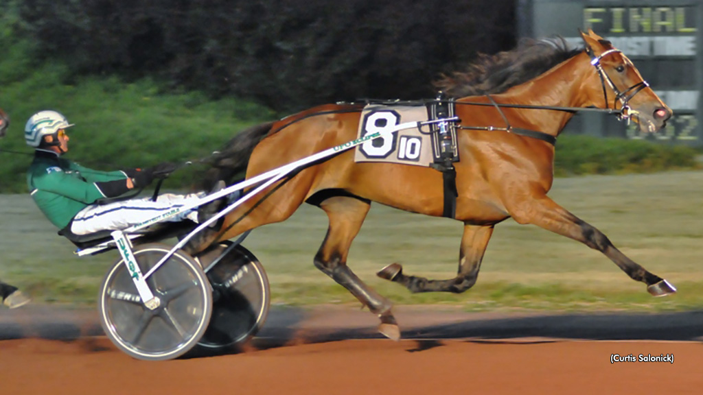 Bond Impressive In 2023 Seasonal Bow