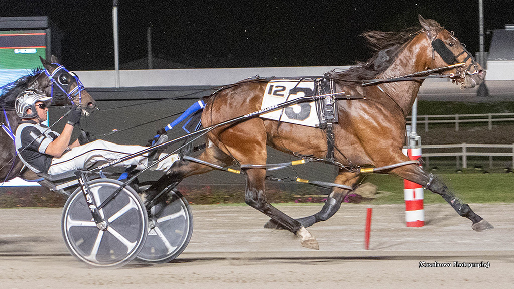 Camouflage Money Straight Cash In Northfield Open