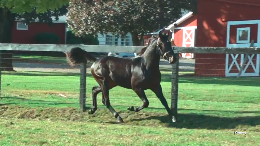 Saturday's Mohawk Baby Races Complete