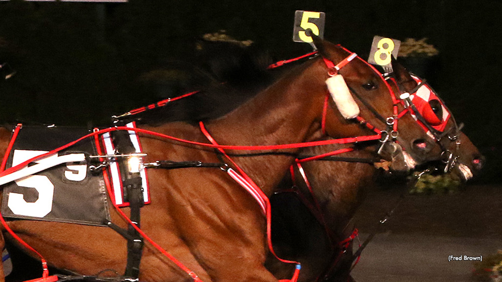 'Catie Faye,' 'Tantalize' Take Tioga Features