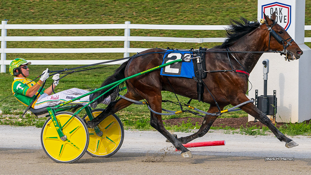 Track Records Fall In Kentucky Sire Stakes