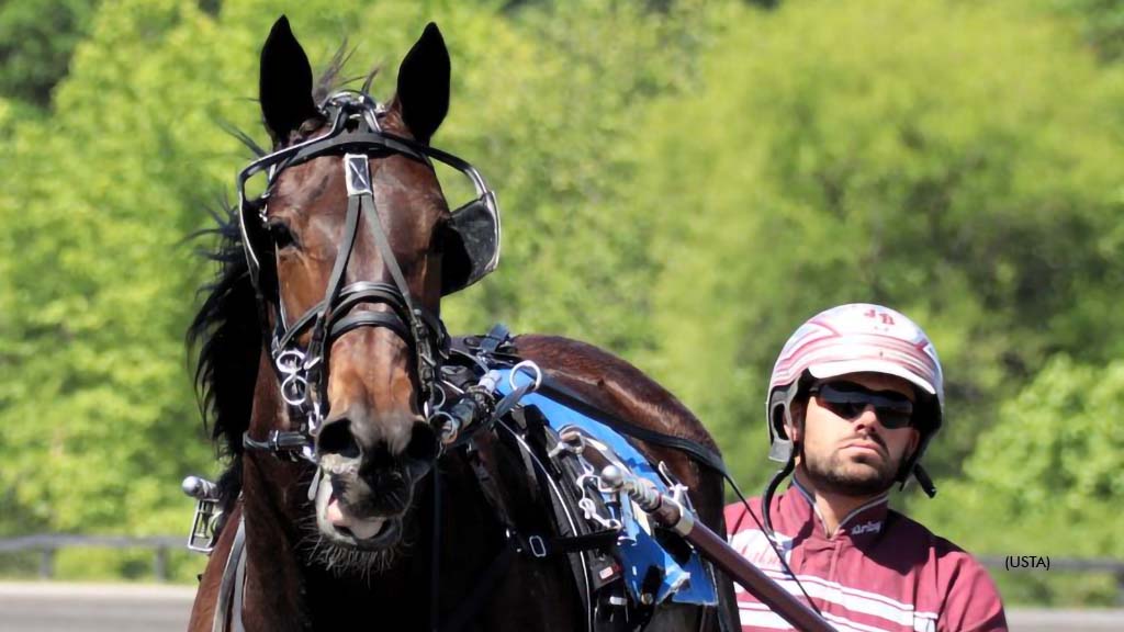 Freshman Filly Trotters Ready To Roll In NYSS