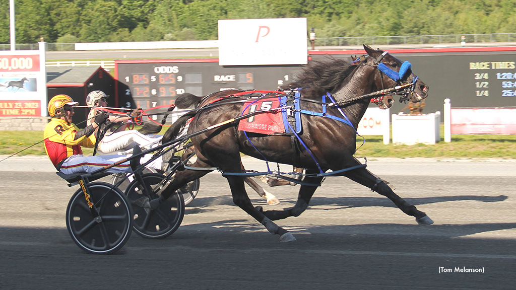DP Realordeal Shatters Plainridge Track Record
