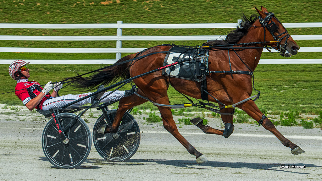 Diamondsnpearls Lowers Track Record In Kentucky Sire Stakes Diamondsnpearls Lowers Track Record In Kentucky Sire Stakes