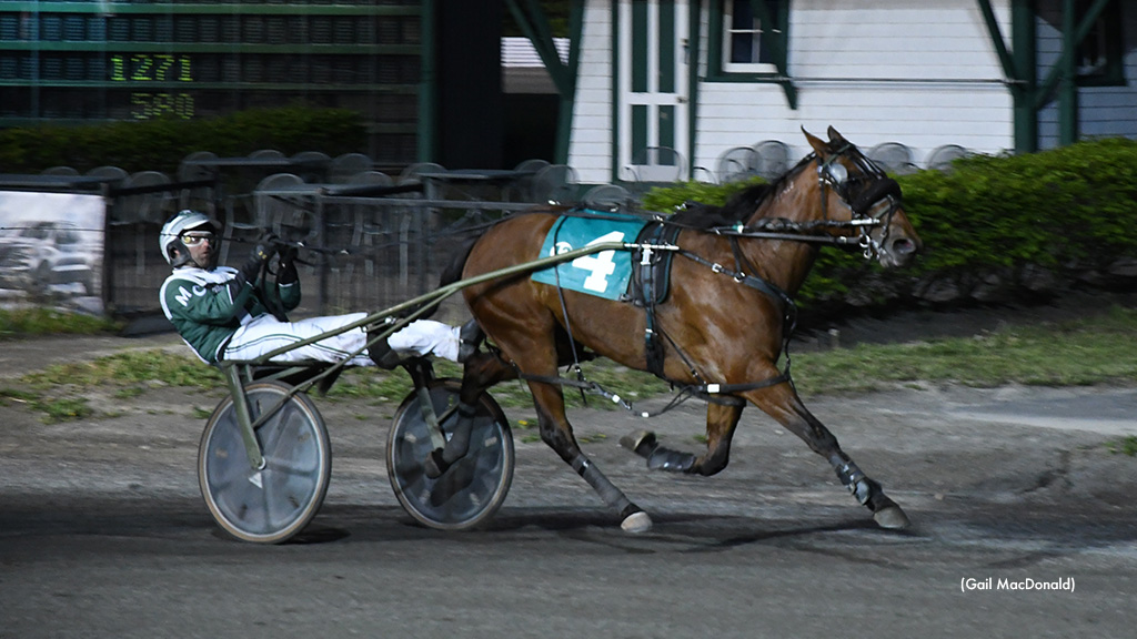 Dreamfair Zenfire Finds Win 50 At Red Shores