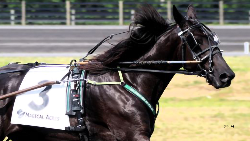 Freshmen Take Another Turn At Magical Acres