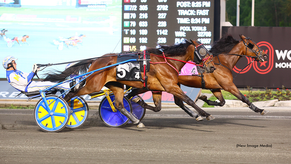 Gaines Hanover, Warrawee Yang Win Goodtimes Eliminations