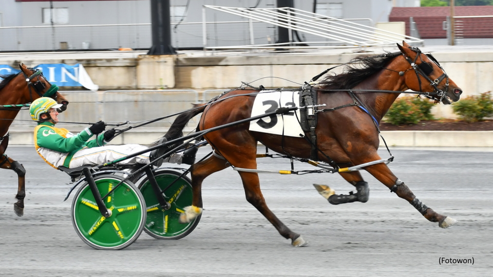 Glamour Boys Battle In Delaware Breeders