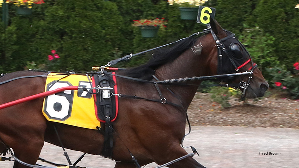 Ilikemebettor A Takes Open At Tioga