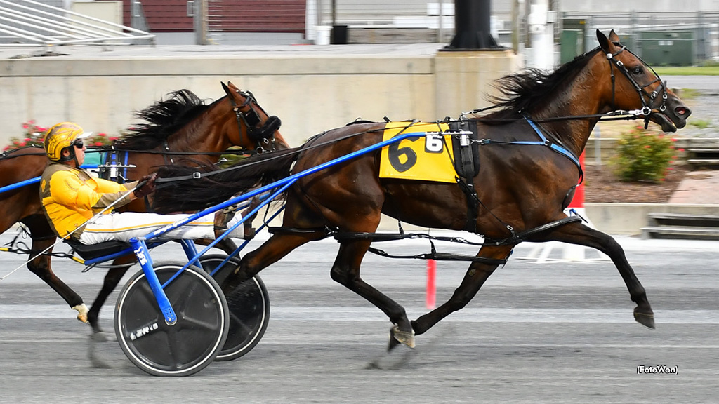 Incaseyoudidntknow Repeats In Harrington Open