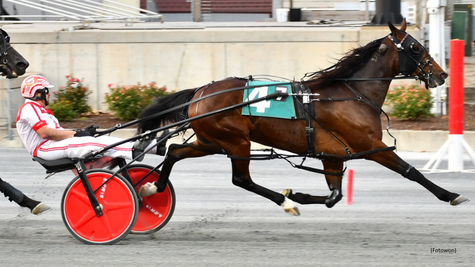 Harrington Open Goes To Itsrockandroll A