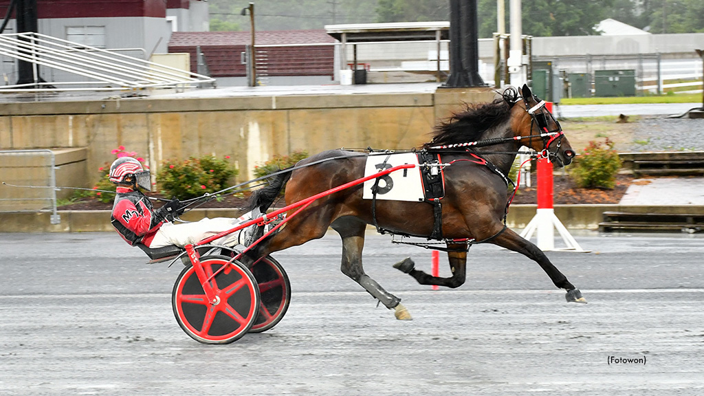 DSBF Stakes Contested Before Harrington Cancellation