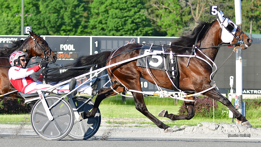 Lanjo Lee Large In Saratoga Open