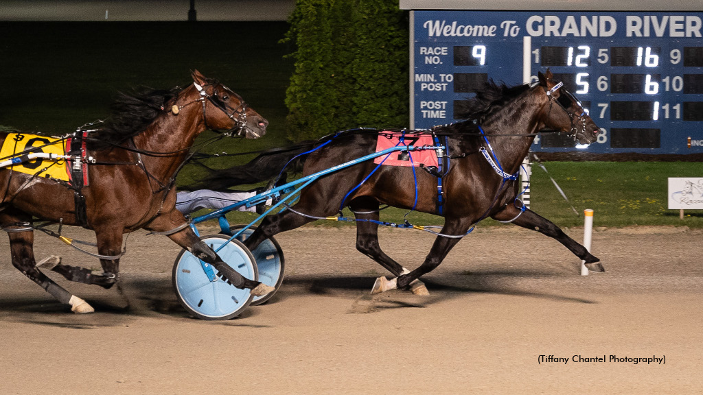 Lawless Shadow Looks For Chance In Gold Cup And Saucer